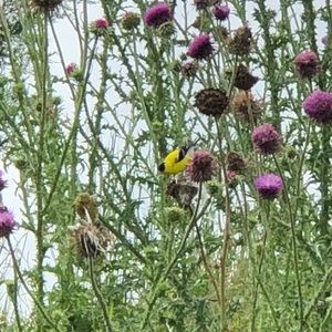 Meet your Posher, Fernando